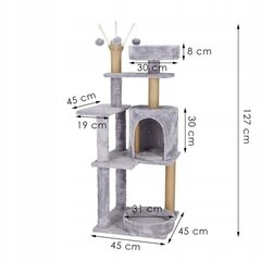 Kassi kauss Springos PA1048, 127 cm, hall hind ja info | Kassi kraapimispuud | kaup24.ee