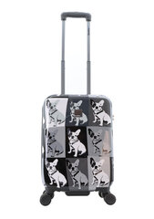 SAXOLINE BULLDOG Mono S маленький чемодан для ручной клади 55x36x23 цена и информация | Чемоданы, дорожные сумки | kaup24.ee