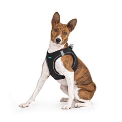 Harness air comfort M must hind ja info | Kaelarihmad ja traksid koertele | kaup24.ee