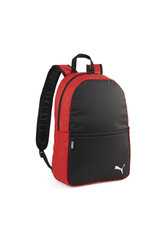 Puma Seljakotid Teamgoal Backpack Core Black Red 090238 03 hind ja info | Jalgpalli varustus ja riided | kaup24.ee