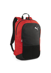 Puma Seljakotid Teamgoal Backpack Black Red 090239 03 hind ja info | Jalgpalli varustus ja riided | kaup24.ee