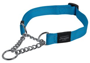 Полу-Строгий ошейник Rogz Utility L 20mm Fanbelt Obedience, бирюзовый отражатель цена и информация | Ошейники, подтяжки для собак | kaup24.ee