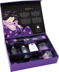 Intiimkomplekt Shunga Naughtier Geisha, 5 tk. hind ja info | Lubrikandid | kaup24.ee