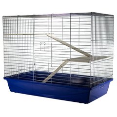 Puur Ferret 100 Zinc G091 100x54x81cm hind ja info | Puurid ja tarvikud väikeloomadele | kaup24.ee