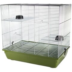 Puur Degu 60 Zinc G096 58x38x55cm hind ja info | Puurid ja tarvikud väikeloomadele | kaup24.ee