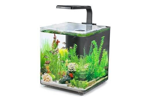 Akvaarium AQUACLEAR DESKTOP TANK AC10 9,4L 243x203x233mm hind ja info | Akvaariumid ja seadmed | kaup24.ee