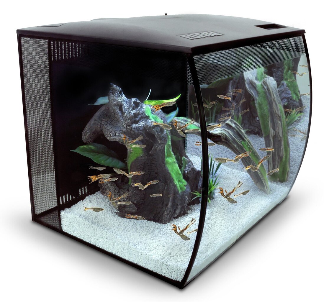 Akvaarium Fluval Flex 57L, must, koos varustusega цена и информация | Akvaariumid ja seadmed | kaup24.ee