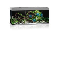 Akvaarium Rio LED 450 L, hall hind ja info | Akvaariumid ja seadmed | kaup24.ee