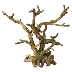 Akvaariumi kaunistus Aqua Della Bonsai, 25,5x10x24 cm, pruun hind ja info | Akvaariumi taimed ja dekoratsioonid | kaup24.ee