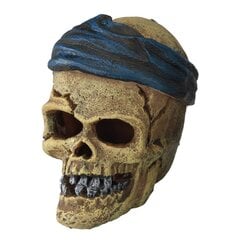 Аквариумный декор Pirate skull headcrack 7,2x6x7,8см цена и информация | Аквариумные растения и декорации | kaup24.ee