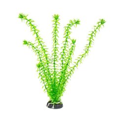 Пластиковое растение M010 40 см цена и информация | Аквариумные растения и декорации | kaup24.ee