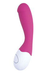 Lovelife™ Cuddle G-spot Stimulation Vibrator, розовый цена и информация | Вибраторы | kaup24.ee