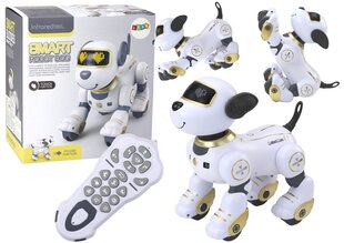 Lean Toys puldiga robotkoer, valge/kollane hind ja info | Poiste mänguasjad | kaup24.ee