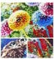 SUUR 5D DIAMANTNE EMBROIDERY Set Image Mosaic D45 hind ja info | Teemantmaalid, teemanttikandid | kaup24.ee