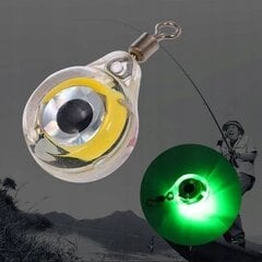 LED õngitsemisvarras Light TEAM Eye Grunt Float Fishing LIGHT hind ja info | Muud kalastustarvikud | kaup24.ee