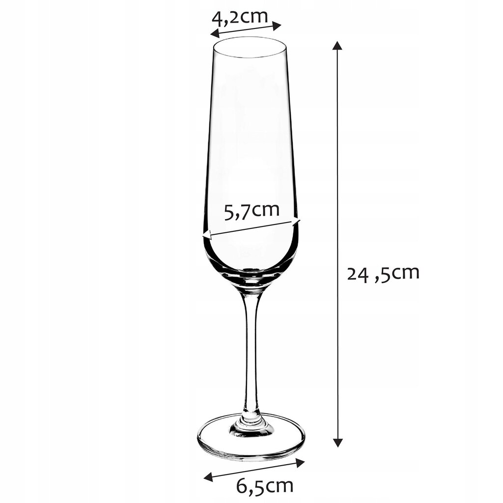 Šampanjaklaaside komplekt 6 klaasist, 200 ml цена и информация | Klaasid, tassid ja kannud | kaup24.ee