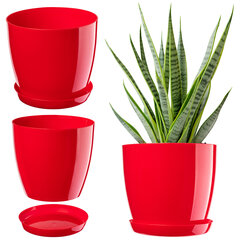 Lillepott alusega plastkaanega Lillepott 12cm Red Kadax Flowers hind ja info | Dekoratiivsed lillepotid | kaup24.ee