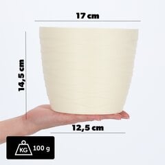 Lillepott, lillekaas, kreemjas, ümmargune, 17 cm, plastik hind ja info | Dekoratiivsed lillepotid | kaup24.ee