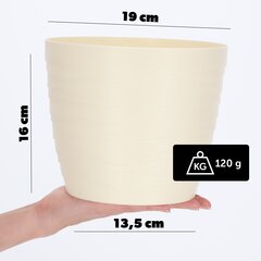 Lillepott, lillekaas, kreemjas, ümmargune, 19 cm, plastik hind ja info | Dekoratiivsed lillepotid | kaup24.ee