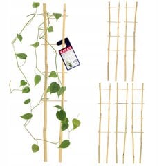 Pergola Support Bamboo Redel 37 cm 5 tk hind ja info | Vaasid, alused, redelid lilledele | kaup24.ee