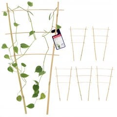 Pergola Support Bamboo Redel 45 cm 5 tk hind ja info | Vaasid, alused, redelid lilledele | kaup24.ee