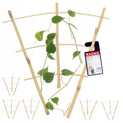 Pergola Support Bamboo Redel 26cm 5 tk hind ja info | Vaasid, alused, redelid lilledele | kaup24.ee