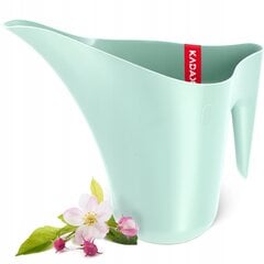 Домашняя садовая лейка для полива цветов 1,2 л цена и информация | Оборудование для полива | kaup24.ee