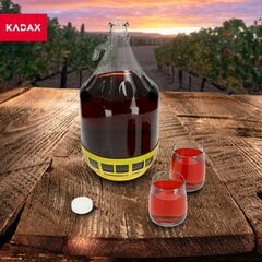 Вино Carboy 5л Lady Balloon In Basket Бутылка для вина + крышка цена и информация | Стаканы, фужеры, кувшины | kaup24.ee