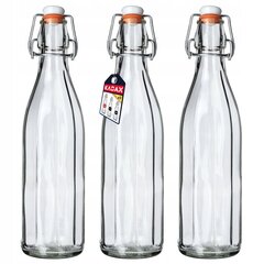 3x klaaspudel Tinktuura pudelid Veiniliköörid Moonshine 1000ml 1L hind ja info | Hoidistamiseks | kaup24.ee