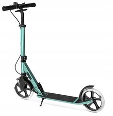 Kokkupandav roller Movino Comfort+ MOV-COMFP-M, 100 kg, värv hind ja info | Tõukerattad | kaup24.ee