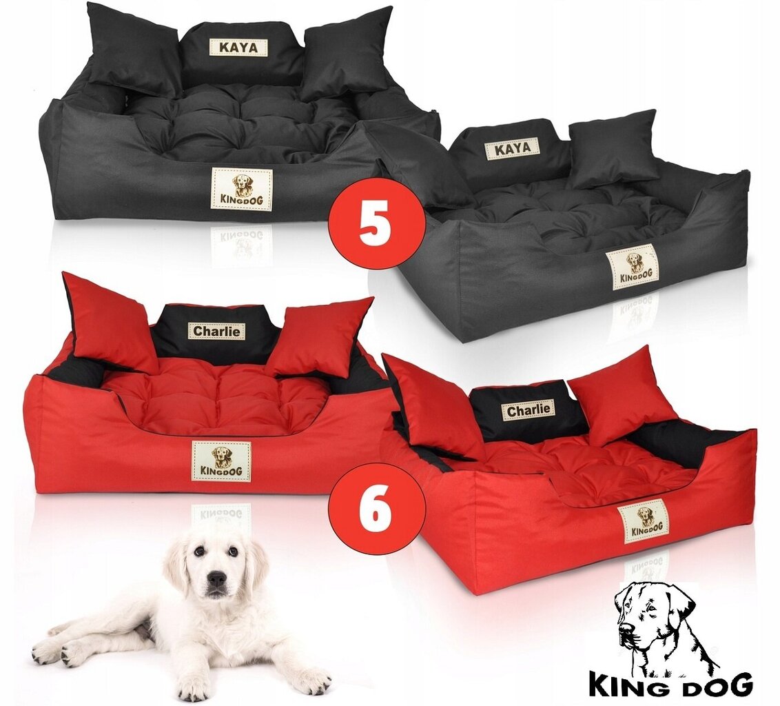 KingDog sinine veekindel koeravoodi diivan 55x45 hind ja info | Pesad, kuudid | kaup24.ee