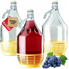 3x Wine Carboy 5L Balloon Lady In Basket Veinipudel + sulgemine hind ja info | Hoidistamiseks | kaup24.ee