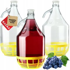 3x Balloon Carboy 5L Lady veinipudel + sulgemine hind ja info | Hoidistamiseks | kaup24.ee