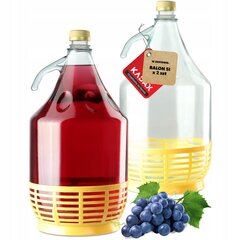 2x Wine Carboy 5L Balloon Lady In Basket Veinipudel + sulgemine hind ja info | Hoidistamiseks | kaup24.ee