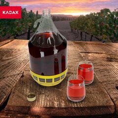 2x Wine Carboy 5L Balloon Lady In Basket Veinipudel + sulgemine hind ja info | Hoidistamiseks | kaup24.ee