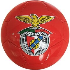 jalgpall benfica r.5 hind ja info | Jalgpalli pallid | kaup24.ee