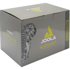 joola lauatennise pallid 28tk. hind ja info | Lauatennise pallid | kaup24.ee