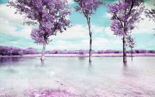 Fototapeet (poolmatt) - Puud vee ääres Provence'i lillakates toonides, 400x250 hind ja info | Fototapeedid | kaup24.ee