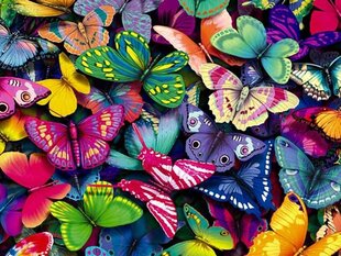 Картина по номерам "Butterflies" 30x40 цена и информация | Живопись по номерам | kaup24.ee