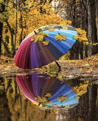 Картина по номерам "Rainbow umbrella" 30x40 цена и информация | Живопись по номерам | kaup24.ee