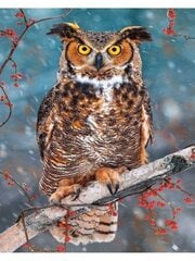 Картина по номерам "An owl on a mountain ash" 30x40 цена и информация | Живопись по номерам | kaup24.ee