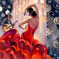 Maal numbrite järgi "Flamenco dancer'' 30x40 hind ja info | Maalid numbri järgi | kaup24.ee