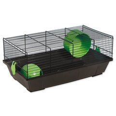 Puuri : Placek Cage Viktor must, tarvikud rohelised, 50.5*28*21cm hind ja info | Puurid ja tarvikud väikeloomadele | kaup24.ee