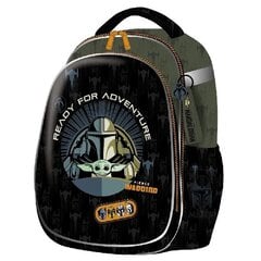 CoolPack рюкзак Turtle Warrior, 25 л цена и информация | Школьные рюкзаки, спортивные сумки | kaup24.ee