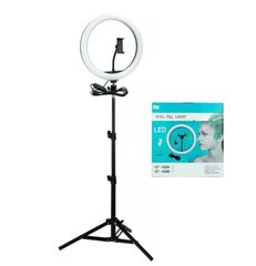 Happy People Led-lamp hind ja info | Fotovalgustuse seadmed | kaup24.ee