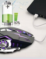 Juhtmeta mängurihiir RGB Zenwire цена и информация | Мыши | kaup24.ee