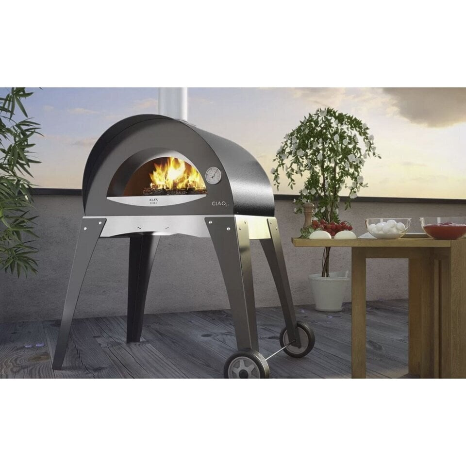 Alfa Forni grilltarvik Base for Ciao Stainless Steel цена и информация | Elektrigrillid | kaup24.ee