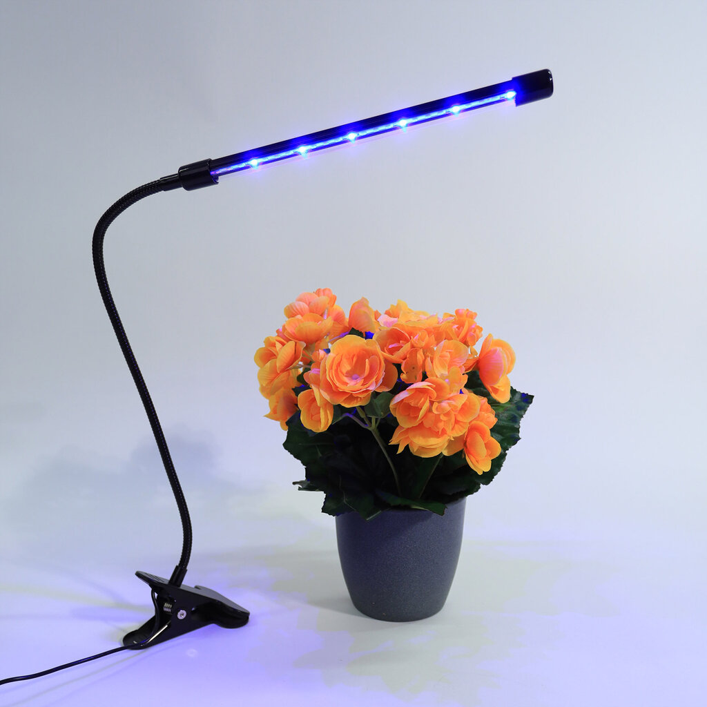 Platinet LED kasvulamp 3W hind ja info | Nutipotid ja taimelambid | kaup24.ee