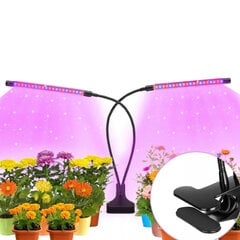 Taimekasvatuslamp 20 W LED-taimeriga hind ja info | Nutipotid ja taimelambid | kaup24.ee