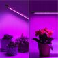 Taimekasvatuslamp 20 W LED-taimeriga hind ja info | Nutipotid ja taimelambid | kaup24.ee